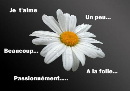 fleur