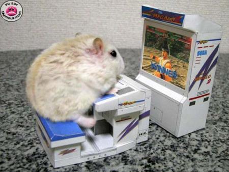 souris qui joue au jeu vidéo