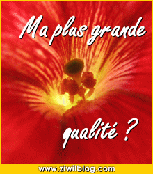 ma plus grande kalité
