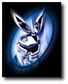play boy