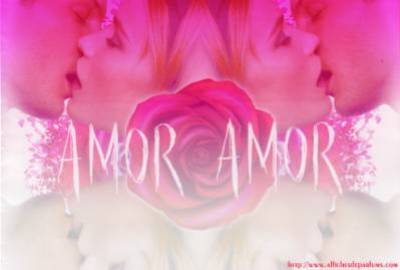 amor amor