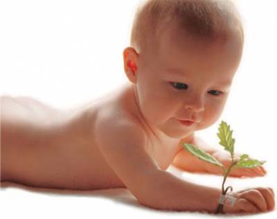 bébé