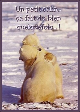 ours calin