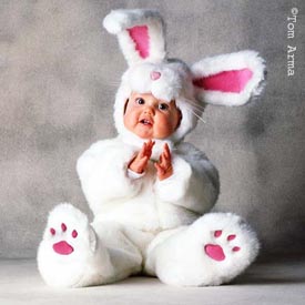 bébé lapin