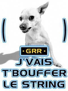 ptit toutou pa trés amical