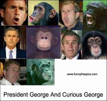 georges bush é les singes