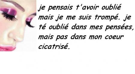 coeur cicatrisé