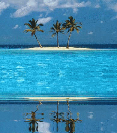 paysage