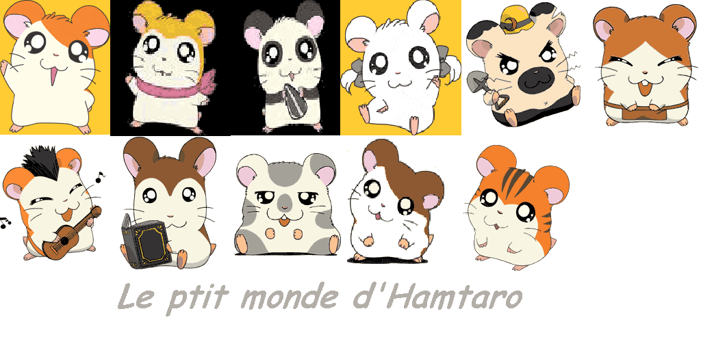 mon montage